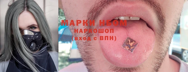 стаф Алексин