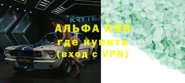 стаф Алексин