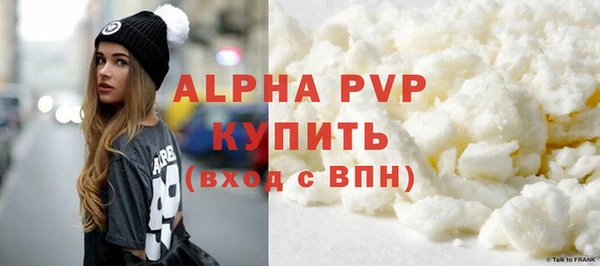 стаф Алексин