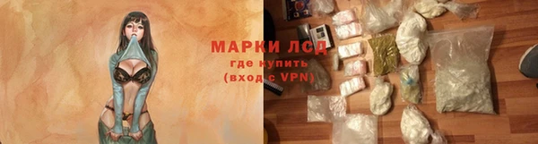 стаф Алексин