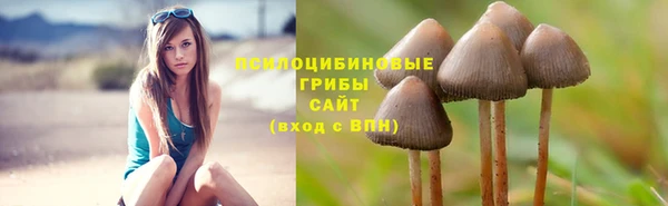 стаф Алексин