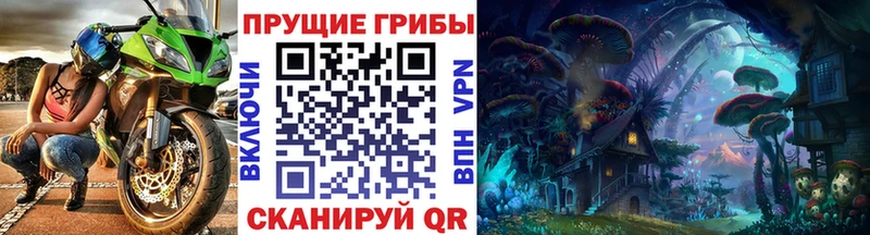 закладка  Котлас  Псилоцибиновые грибы мицелий 